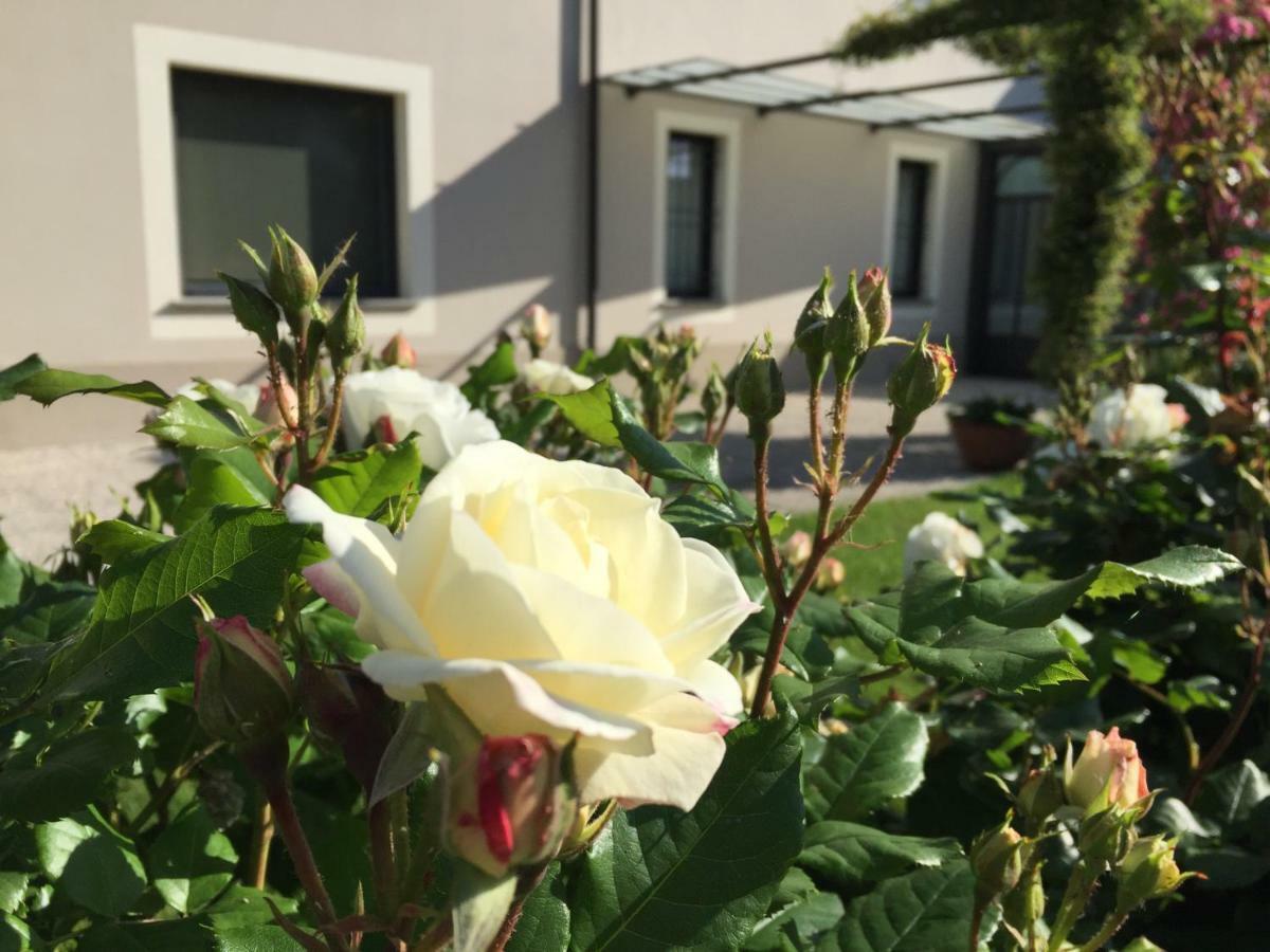 B&B Cascina Sagrestia Asola Zewnętrze zdjęcie