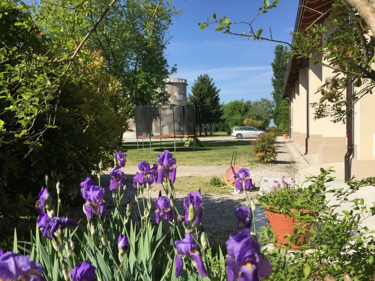 B&B Cascina Sagrestia Asola Zewnętrze zdjęcie